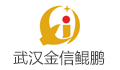 武汉金信鲲鹏电梯工程有限公司